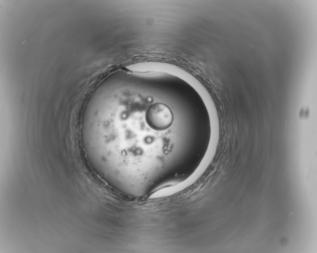 X0000093600769200711051157