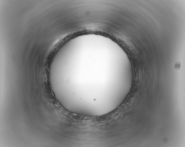 X0000093600776200711051157