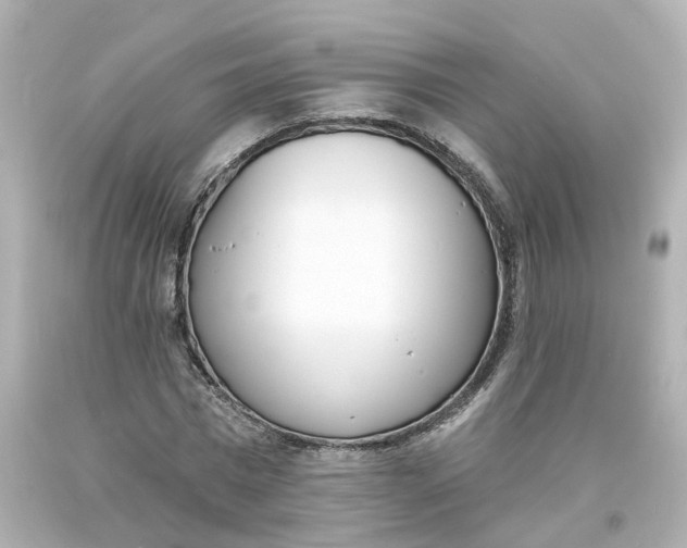 X0000093600777200711051157