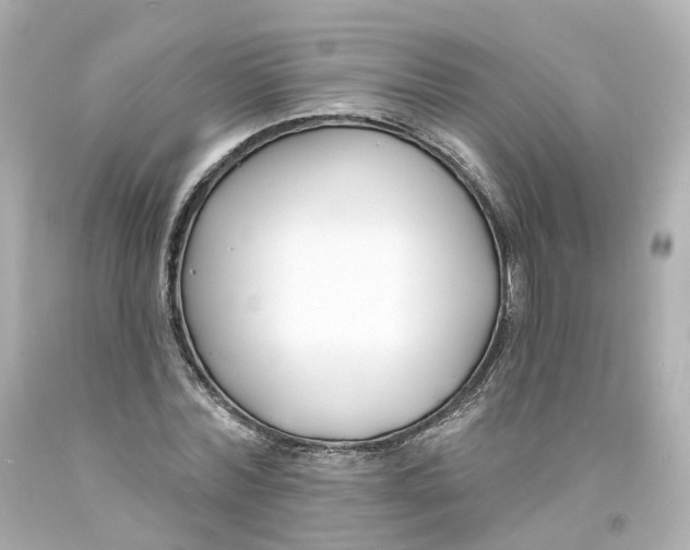 X0000093600780200711051157