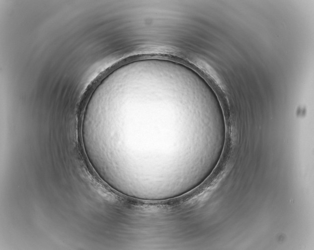 X0000093600781200711051157