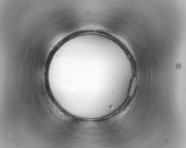 X0000093600783200711051157