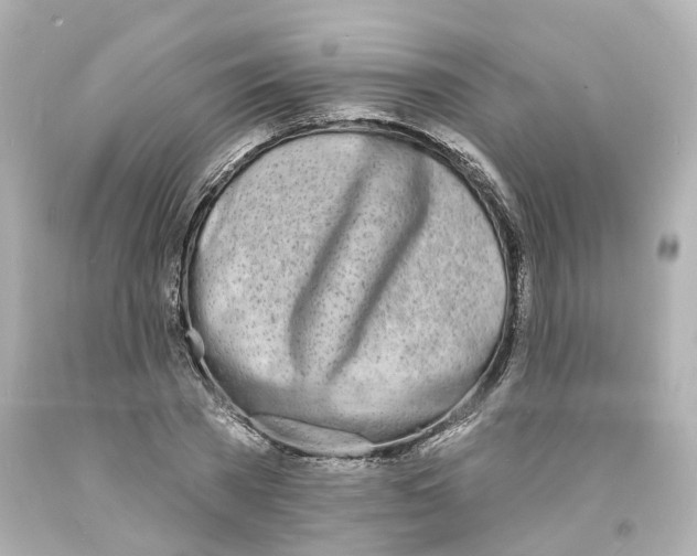 X0000093600785200711051157