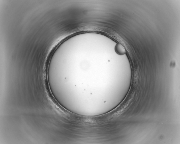 X0000093600787200711051157