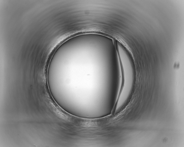 X0000093600789200711051157