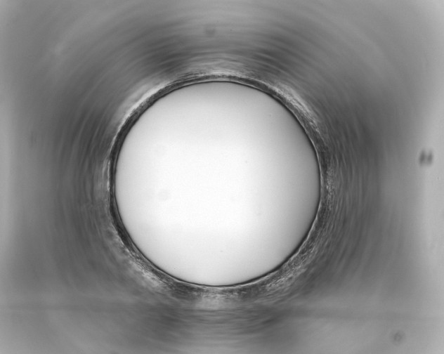 X0000093600790200711051157