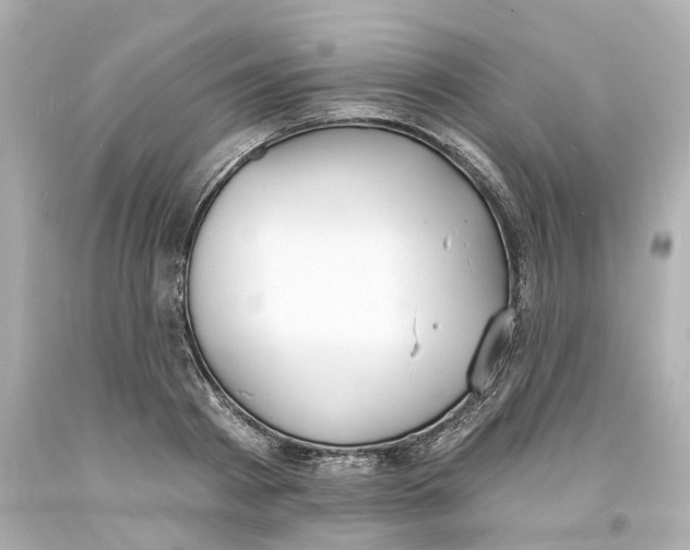 X0000093600793200711051157