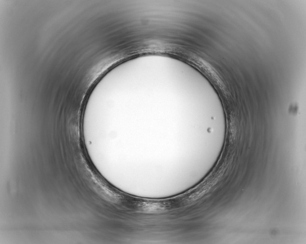 X0000093600794200711051157