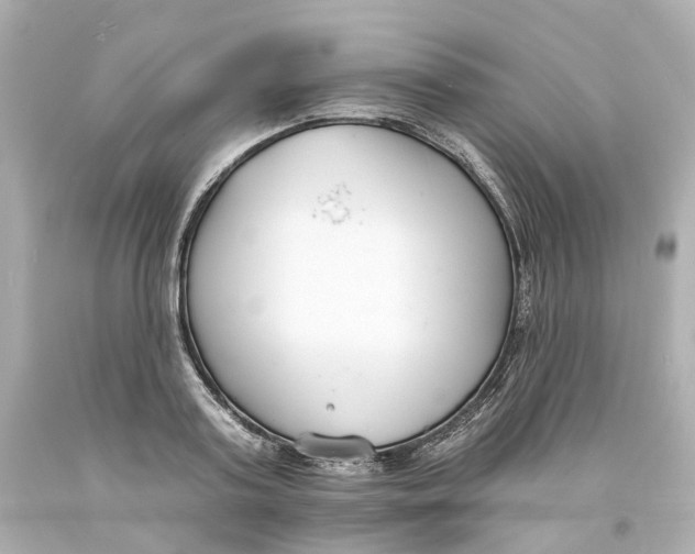 X0000093600795200711051157