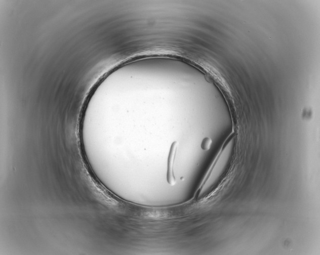 X0000093600797200711051157