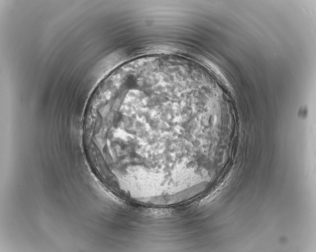 X0000093600802200711051157