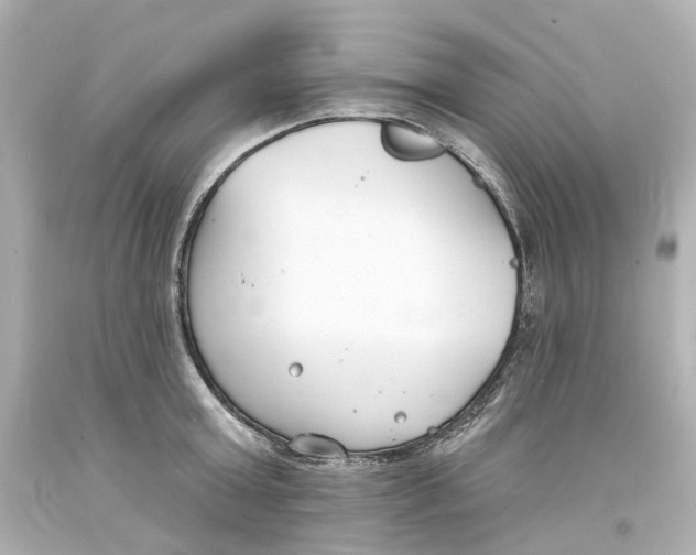 X0000093600803200711051157