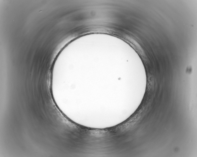 X0000093600804200711051157