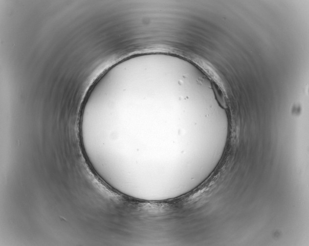 X0000093600805200711051157