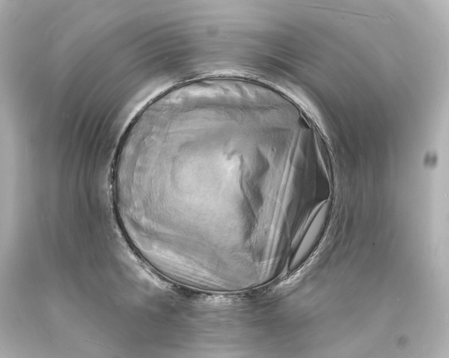 X0000093600806200711051157