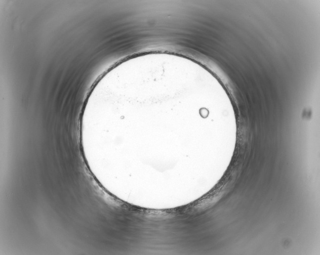 X0000093600807200711051157