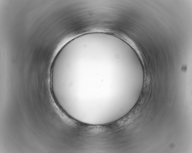 X0000093600811200711051157