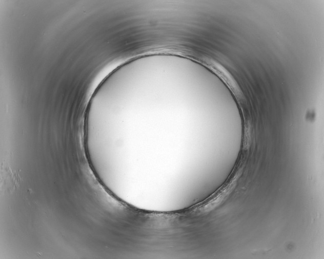 X0000093600812200711051157