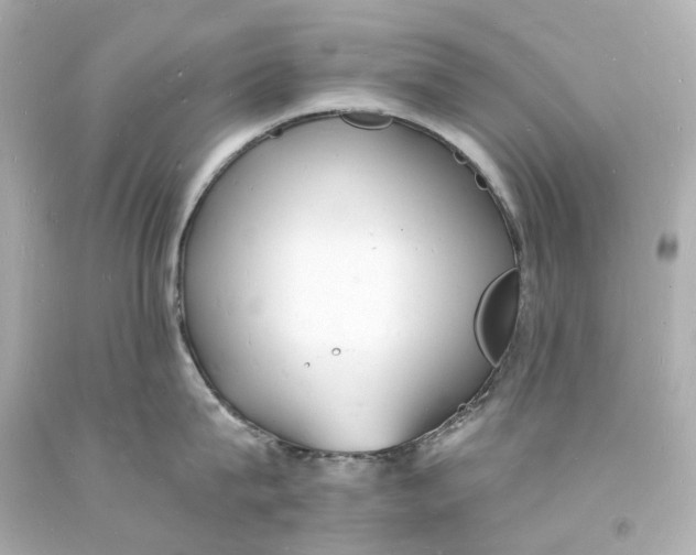 X0000093600815200711051157