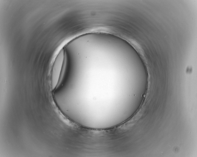 X0000093600816200711051157