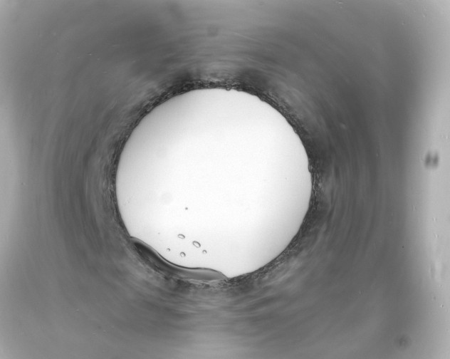 X0000093600817200711051156