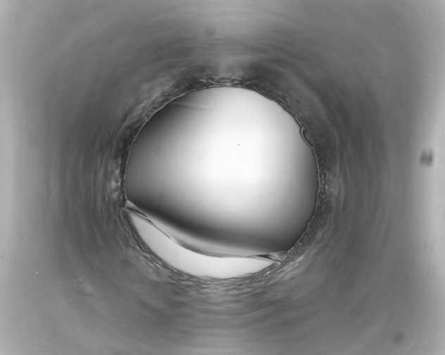 X0000093600818200711051156