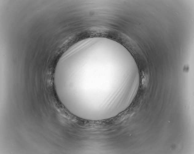 X0000093600819200711051156