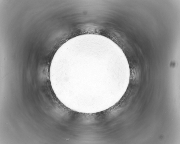 X0000093600820200711051156