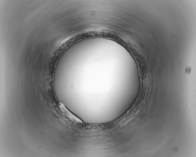 X0000093600822200711051156