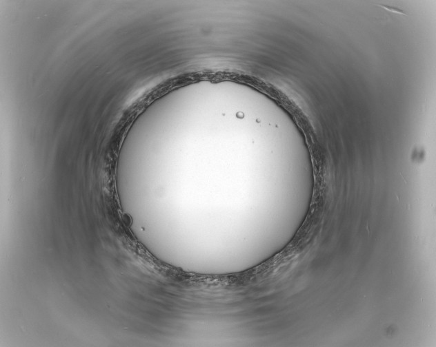 X0000093600823200711051156