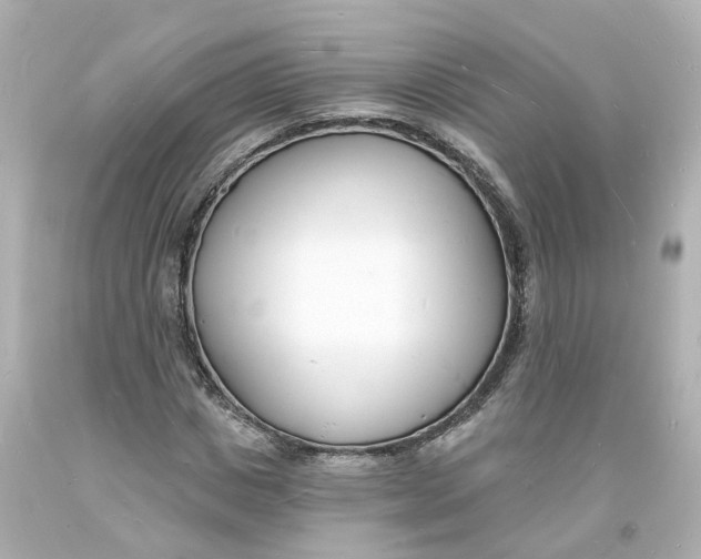 X0000093600825200711051156