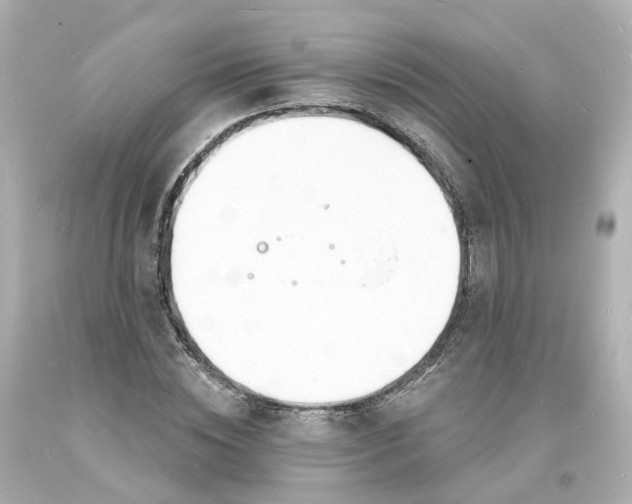 X0000093600828200711051156