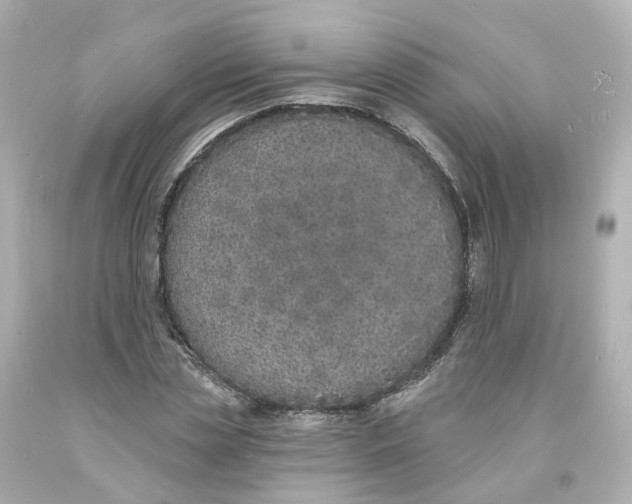 X0000093600829200711051156