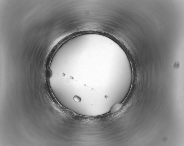 X0000093600830200711051156