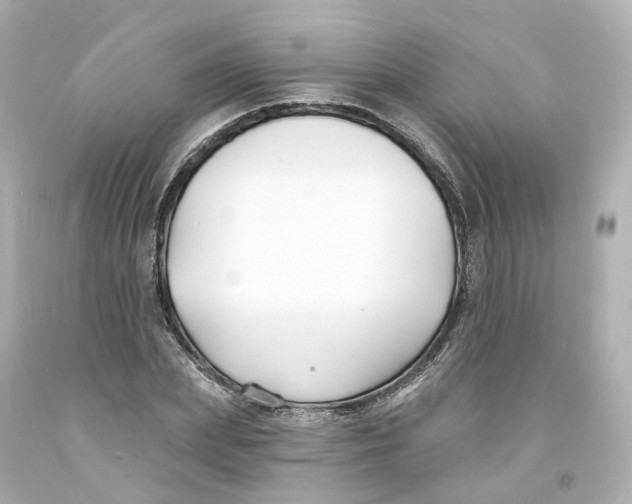 X0000093600831200711051156