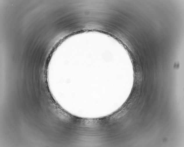 X0000093600832200711051156