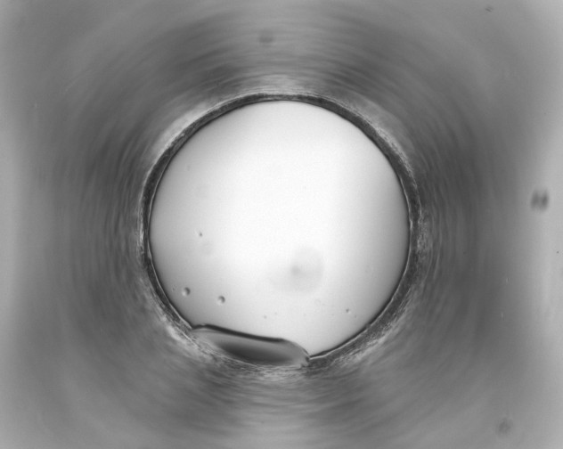 X0000093600837200711051156