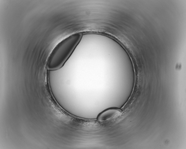 X0000093600838200711051156