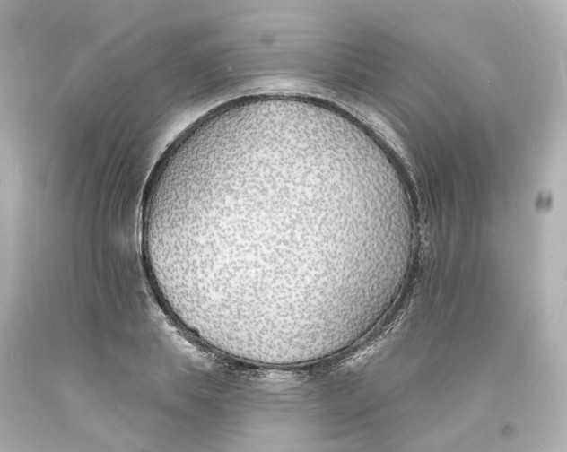 X0000093600839200711051156