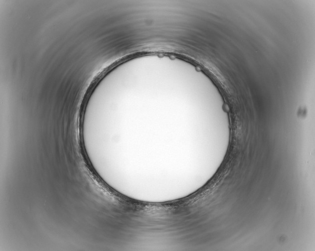 X0000093600840200711051156