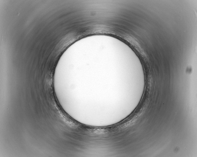 X0000093600841200711051156