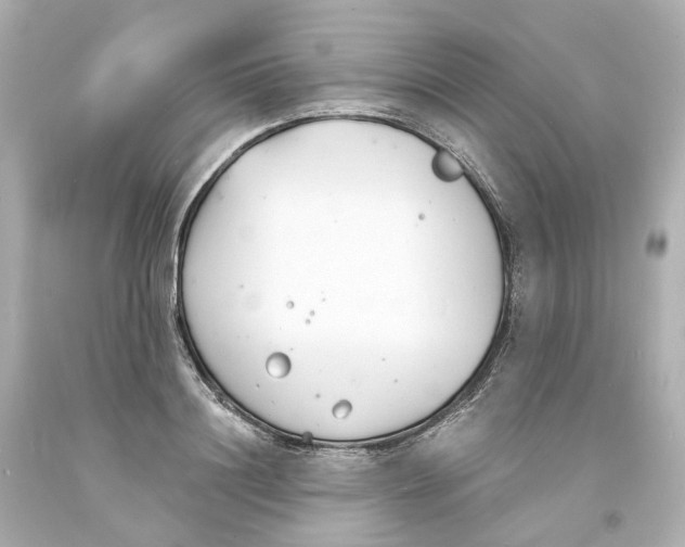 X0000093600844200711051156