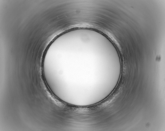 X0000093600845200711051156