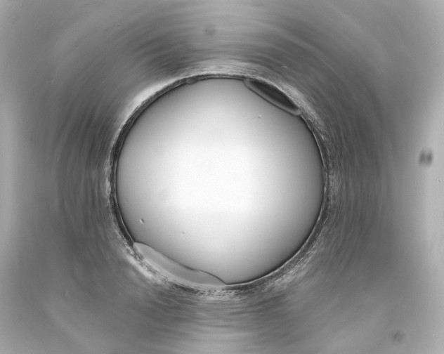 X0000093600846200711051156