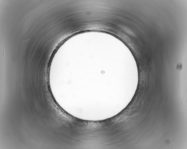 X0000093600848200711051156