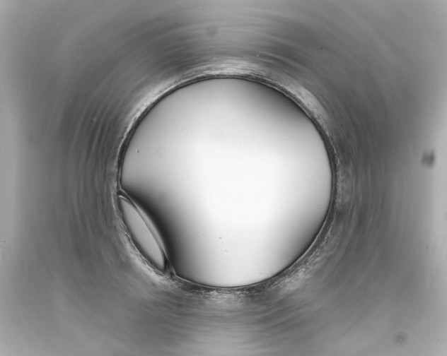 X0000093600850200711051156