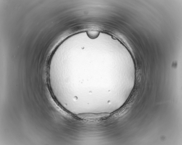 X0000093600851200711051156