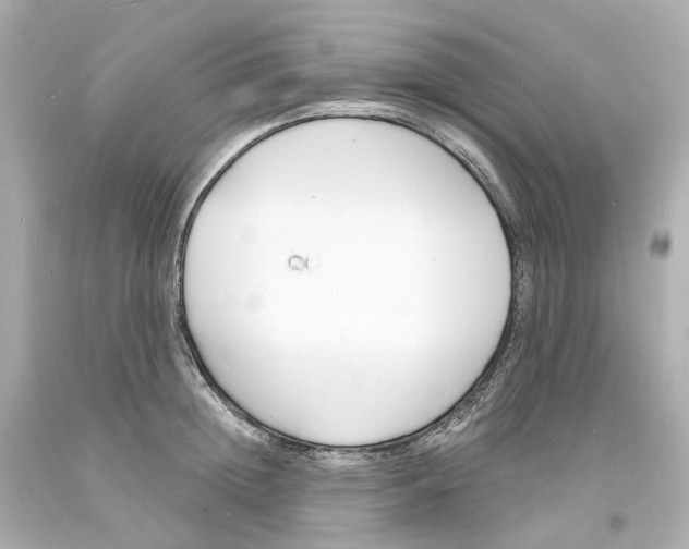 X0000093600852200711051156