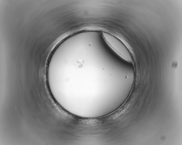 X0000093600853200711051156