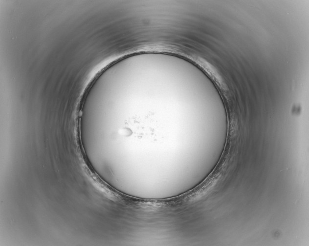 X0000093600854200711051156